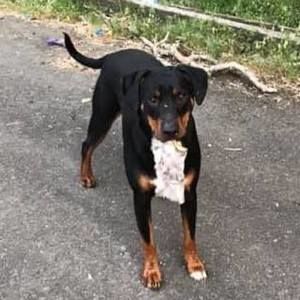 Meet your Posher, August